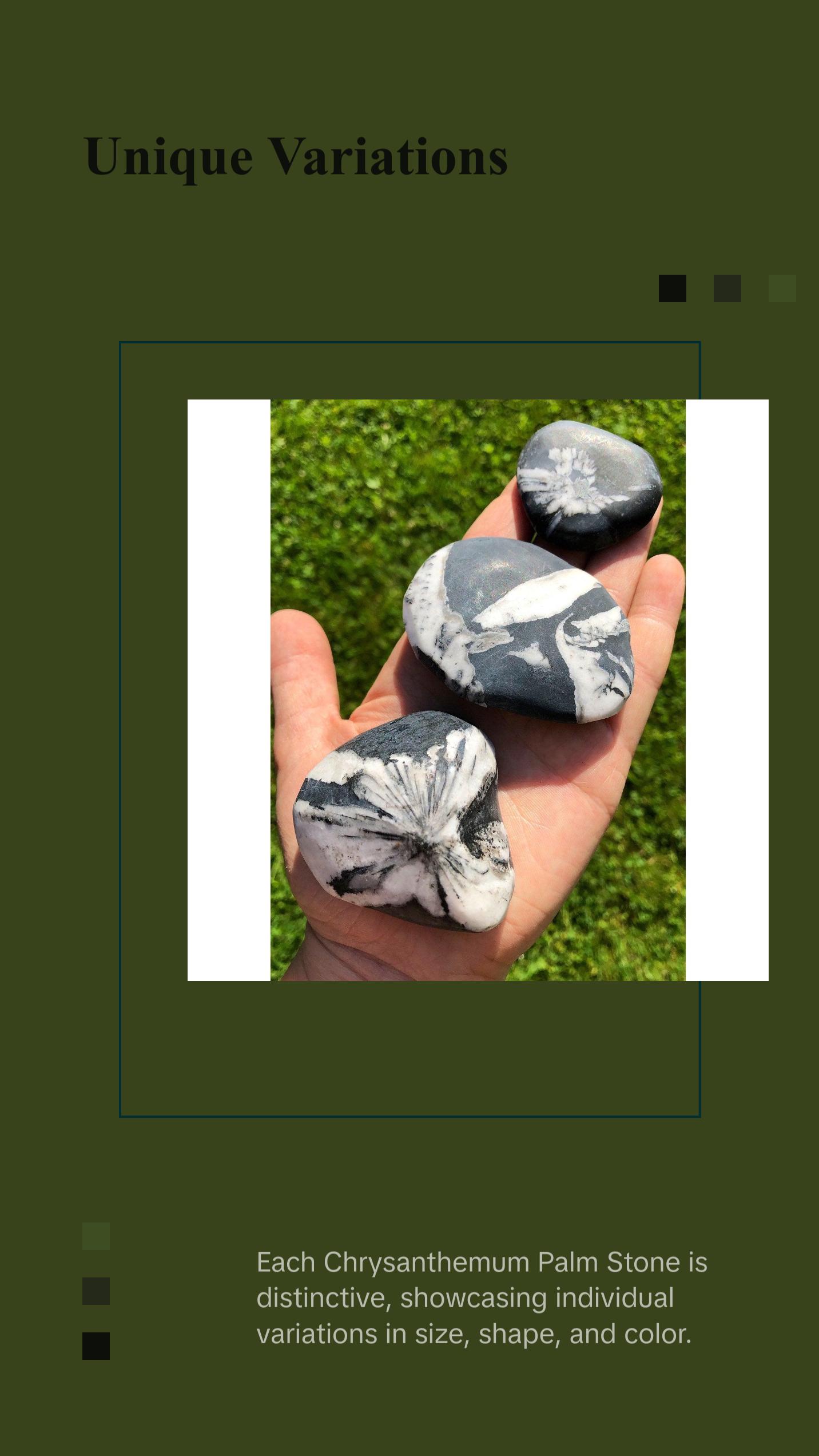 Chrysanthemum Palm Stone - Polished Stone Oval