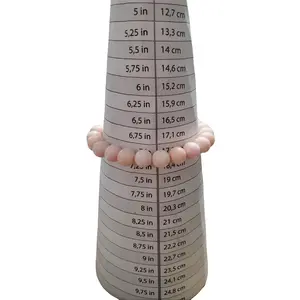 Queen Conch Shell Bracelet