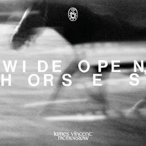James Vincent McMorrow - Wide Open, Horses  [VINYL RECORD - LP] Colored Vinyl, Gatefold LP Jacket, 180 Gram, White