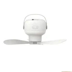 Rechargeable ceiling  fan