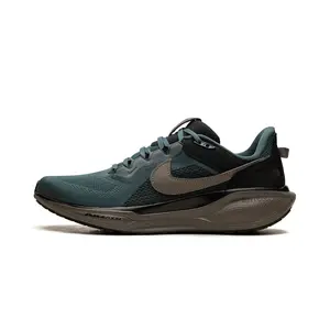 Air Zoom Pegasus 41 SP "Faded Spruce" HQ6025 300