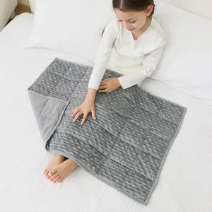 Weighted Lap Blanket 2LBS 20 x 30 Inches, Minky Dots Heavy Blanket with Glass Beads, Soft and Cooling for School and Home, Grey