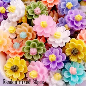 30PCS Mixed 12mm Resin Carnation Flower Flat back Flower Rhinestone Scrapbook Materials Wedding Ornament Applique DIY Accessories Crafts DIY Craft Kit