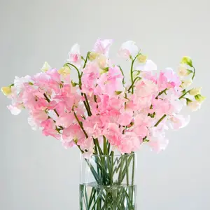 Sweet Pea Candle Fragrance Oil