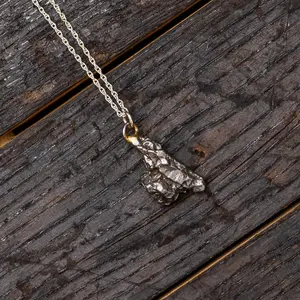 Campo Del Cielo Meteorite 20" Necklace