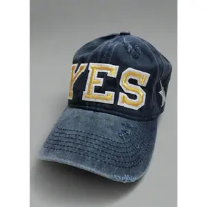 Yes or No Baseball Hat