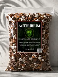 Anthurium Mix — Chunky Epiphytic Potting Mix for Anthurium | Maximum Aeration & Drainage