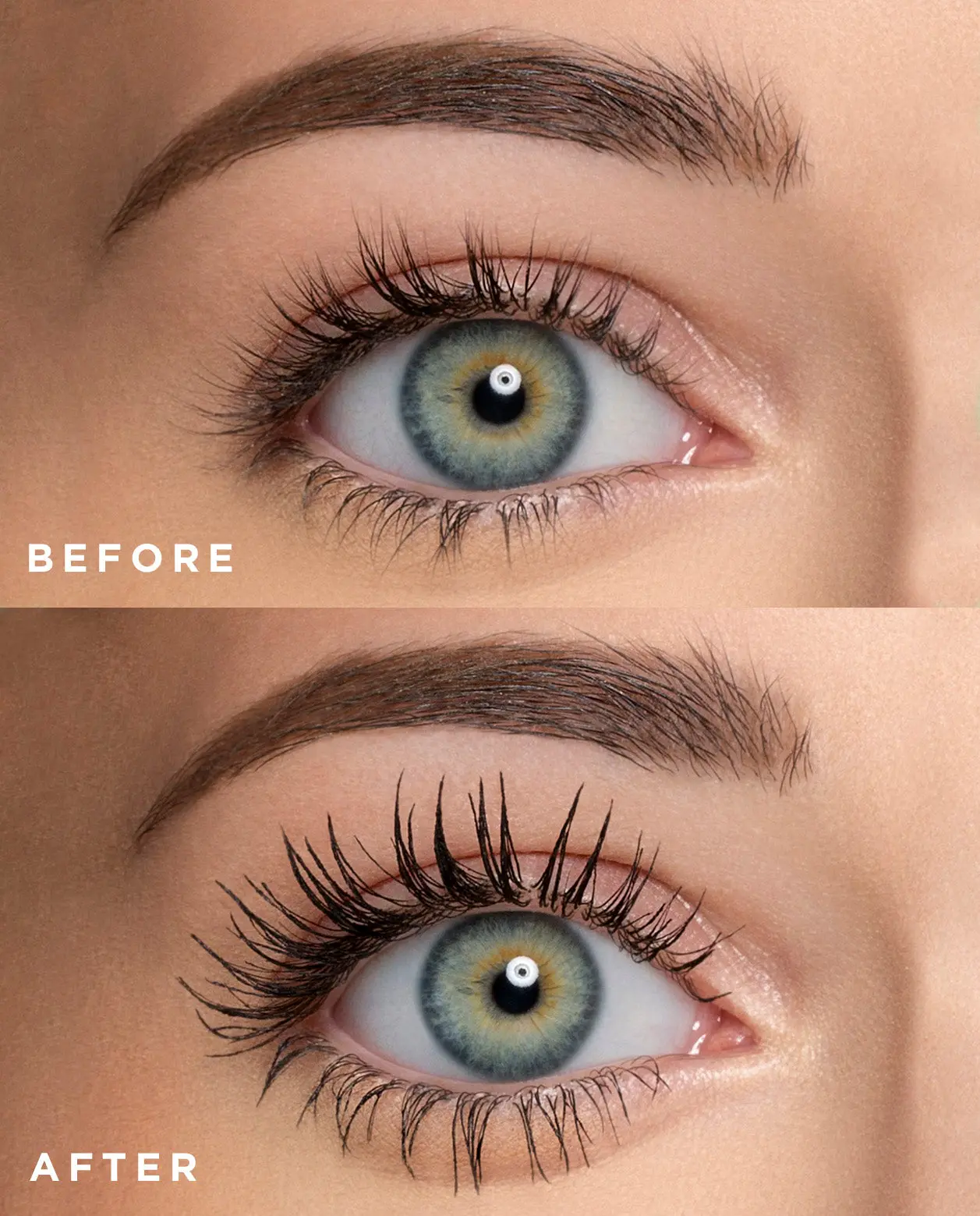 Lash Chance Bundle
