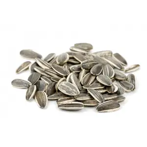 In Shell Raw Sunflower Seeds
