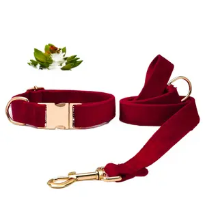 Pet dog collar, new velvet lettering metal buckle collar, leash dog rope adjustable collar
