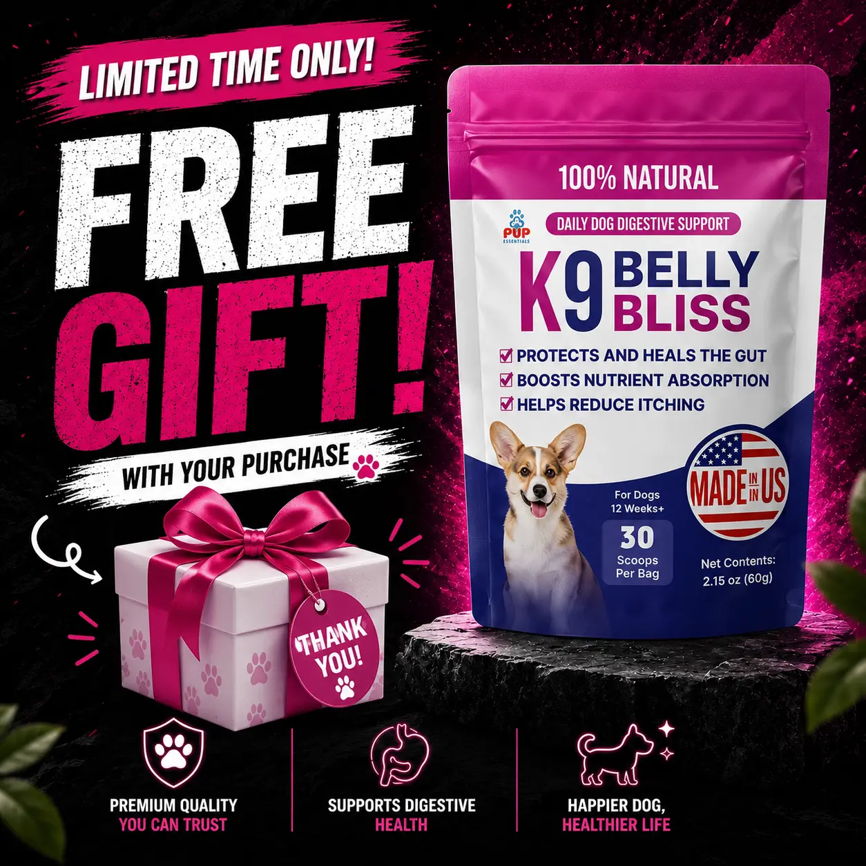 Pup Labs K9 Belly Bliss 3-Pronged Defense Dog Digestive Support with L-Glutamine N-Acetyl D Glucosamine & Prebiotics for Gut Health