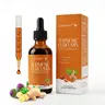 CareGem Turmeric Curcumin & Milk Thistle Natural Blended Supplement Liquid Drops - Non-GMO Herbal Dietary Supplement for Adult Liver Health Support, with Dandelion + Chamomile, Black Pepper, Ginger, Orange Flavor, Prop 65 Safe, 2 fl oz
