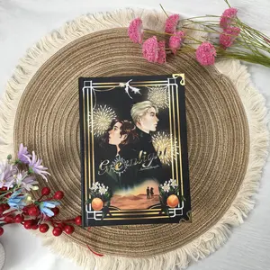 Green Light Romance Hardcover Rebound Book Longing and Second Chances, Dramione Fantasy Romance Aesthetic Book