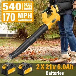 Professional Cordless Leaf Blower 540CFM 170MPH with 2 x 6.0Ah Batteries 6 Speed Levels Electric Blower for Yard Lawn Care and Patio Cleaning
