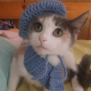 crochet cat beret and matching scarf