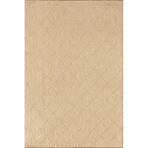 Ray Diamond Indoor/Outdoor Area Rug