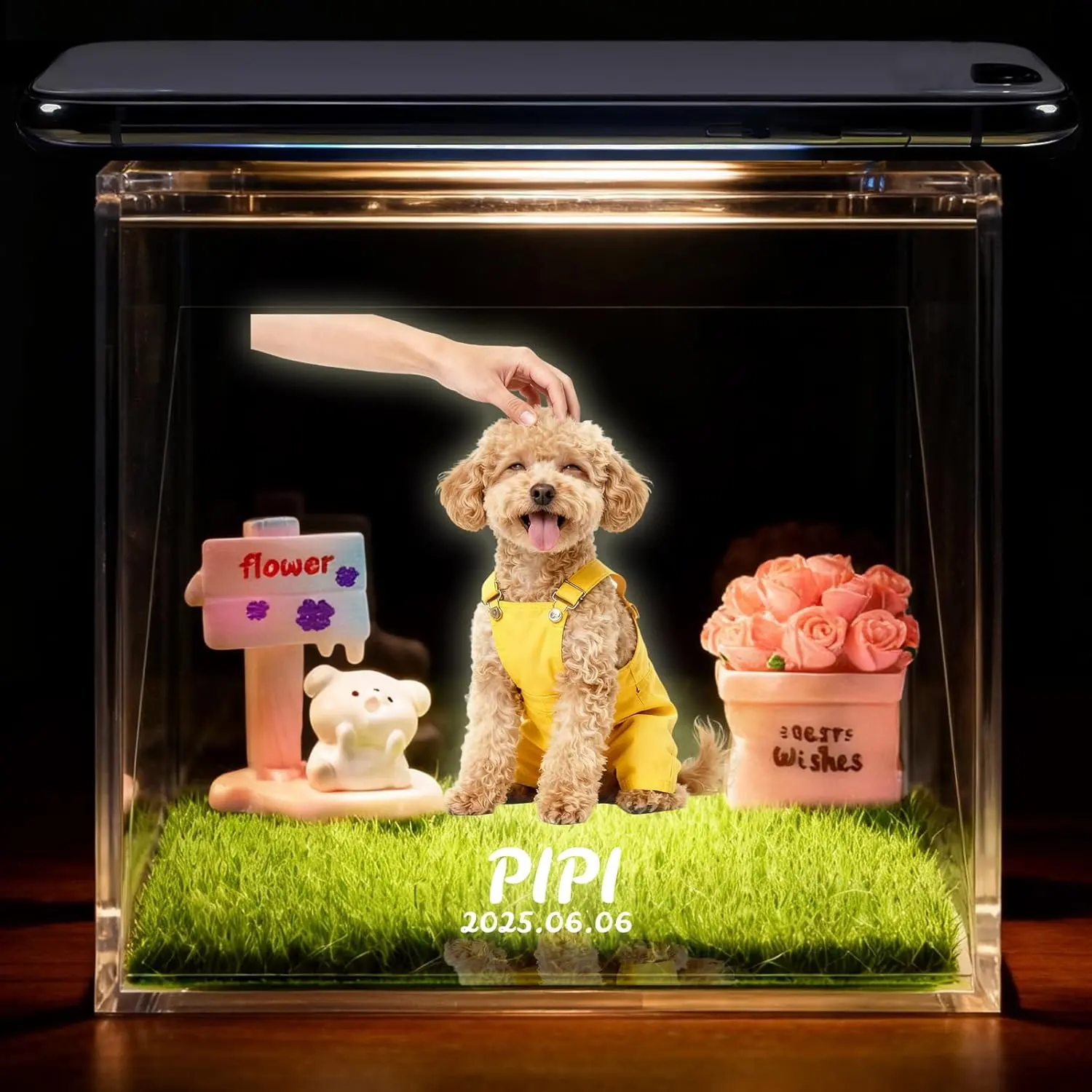 3D Hologram Pet Memorial Box - 4×4×4 In Acrylic Panel, Interactive Mode, Adjustable Brightness-Angle, Personalized Customization, Realistic 3D Holographic Projection Keepsake for Cat Lovers, Christmas Gift summerwins