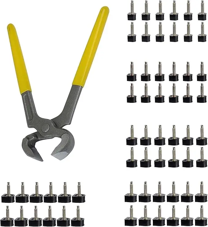 Women's Iron Anti-Slip High Heel Replacement Tips Pin Set (30 Pairs, 5 Sizes: 8x8mm,10x10mm,11x11mm, 2 Different Pin Diameters) with 6" Pliers for Shoe Repair (Black Tips + Heel Pliers)