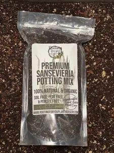 SANSEVIERIA Snake Plant Premium Potting Mix