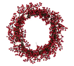 Northlight Frosted Berry Artificial Christmas Wreath 18"