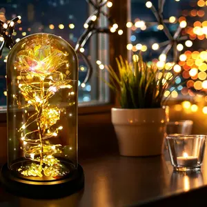 Mother's Day Rose Gifts for Her, Light Up Rose Flower Gift, Galaxy Rose Glass Forever Flowers with Heart-Shaped Base, Eternal Crystal Roses, Perfect Gifts for Grandma Wife Sister Girlfriend