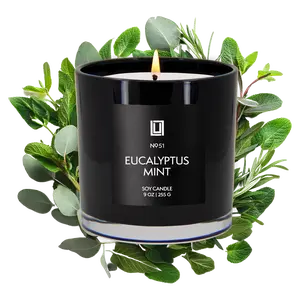 Eucalyptus Mint | Luxury Scented Candle | 9 Oz. Jar