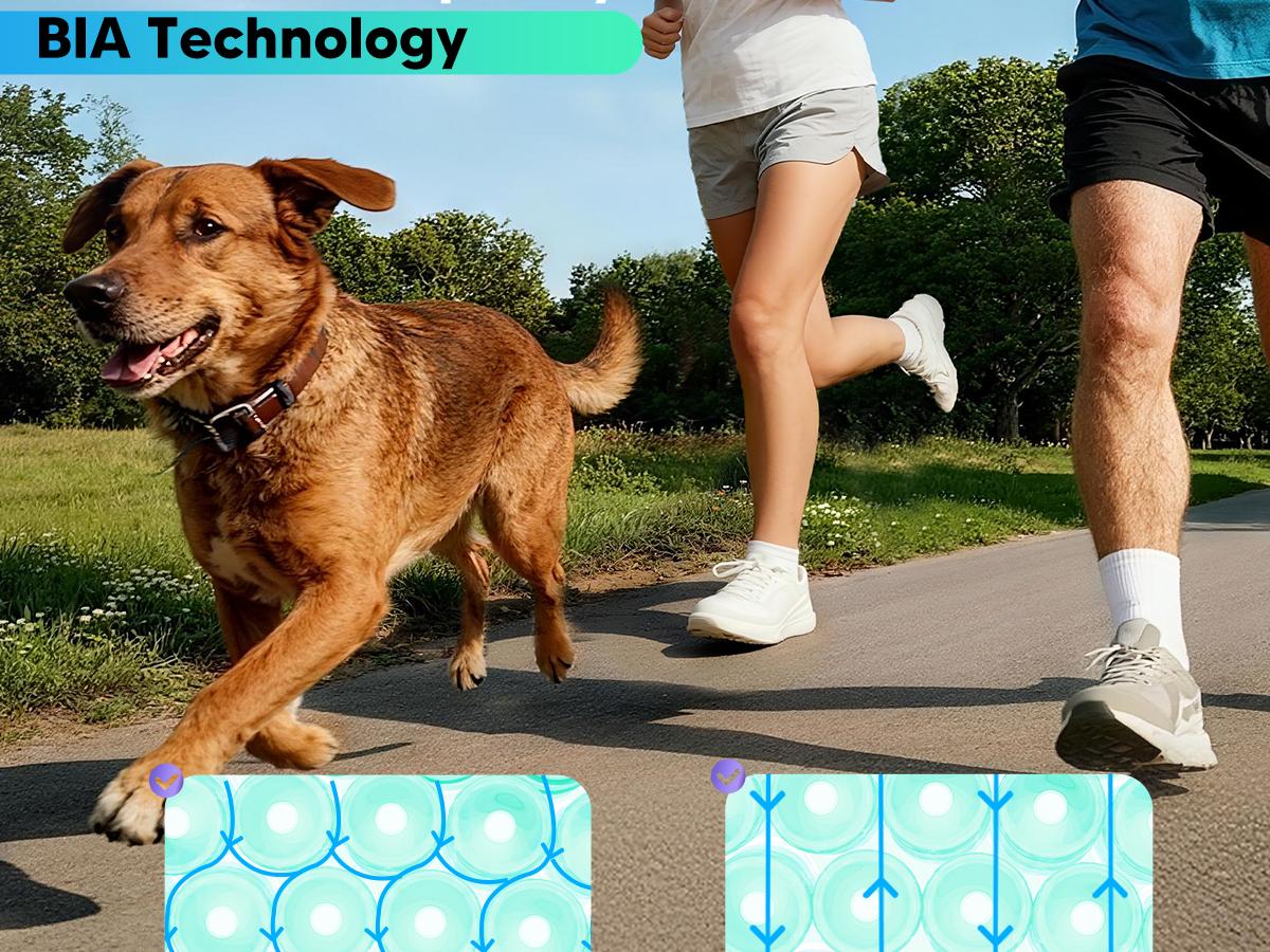 arboleaf 8-Electrode Dual-Frequency BIA Bathroom Scale with 7-in-1 Display for BMI Body Fat Muscle Mass, Segmental Full Body Composition Analyzer, 50+ Metrics in App