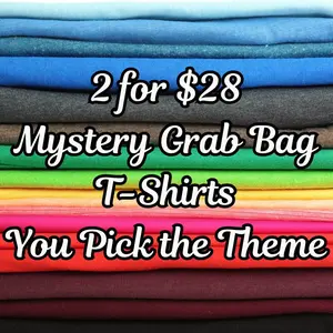 2 for $28 Mystery Grab Bag T-shirts You Pick the Theme