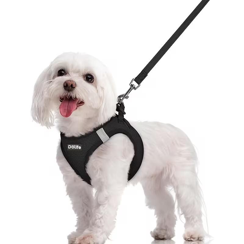 Step-in Mesh Dog Harness & Leash Set