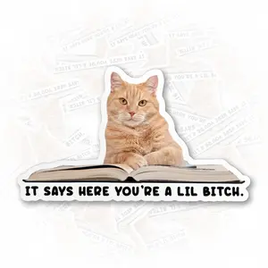 It Says Here You're A Lil Bitch Sticker, Sarcastic Cats Cat Mom Animal Lover Waterproof Die-Cut Vinyl Halloween Funny Gifts