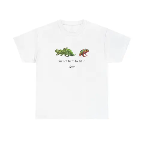 Men's Vintage Smooth Chameleon "Not Here to Fit In" Graphic T-Shirt - Heavyweight Cotton Crew Neck Short Sleeve, Classic Boxy Fit, Fashion Casual Streetwear Menswear, Machine Washable Top, Oeko-Tex Certified