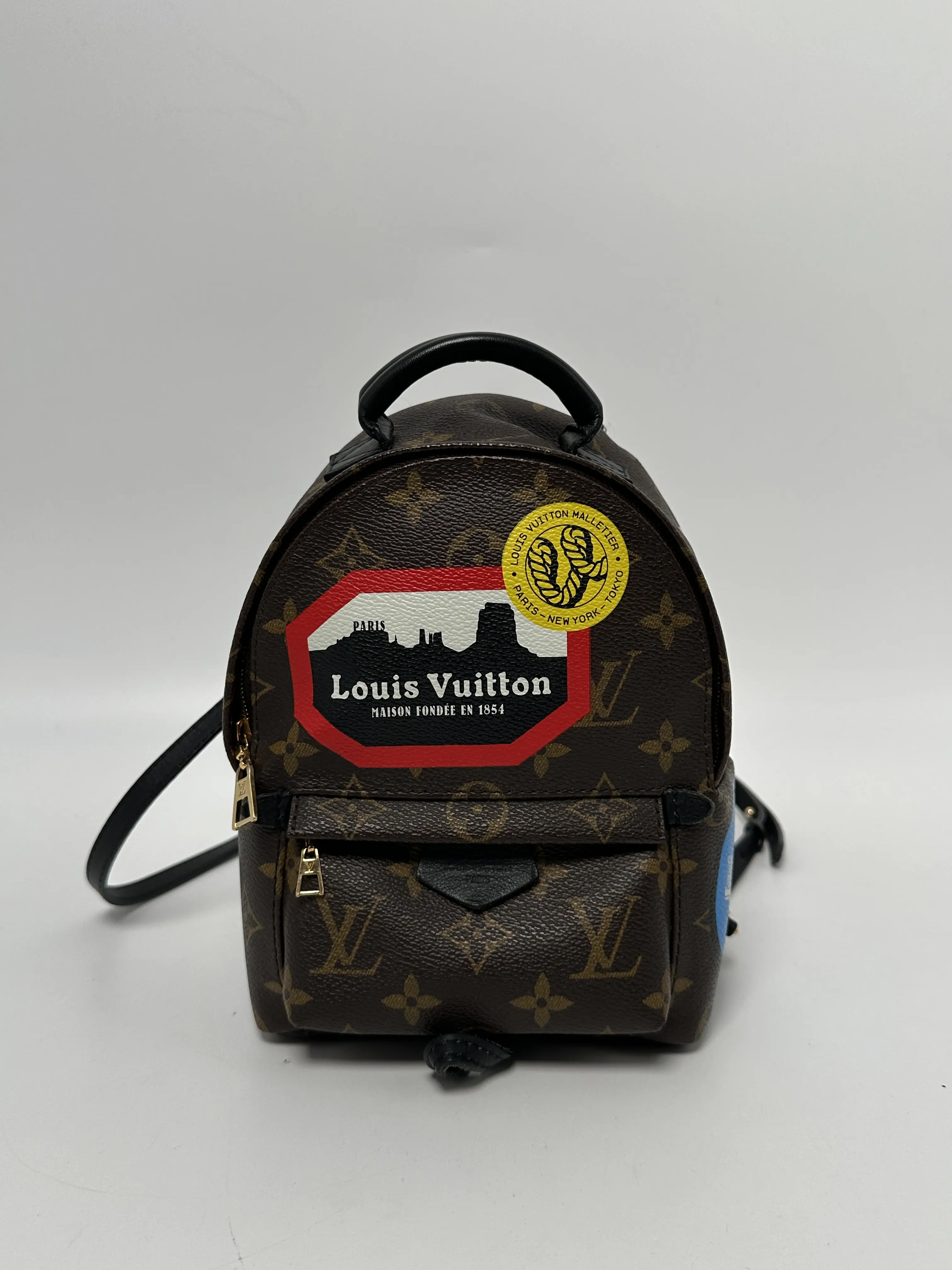Pre-owned Louis Vuitton canvas Backpacks Palm Springs Mini Backpack World Tour Monogram ZS042LV