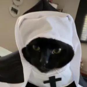 New Year Nun clothes cats and dogs disguise funny COS small and medium pet photo props cat funny costumes