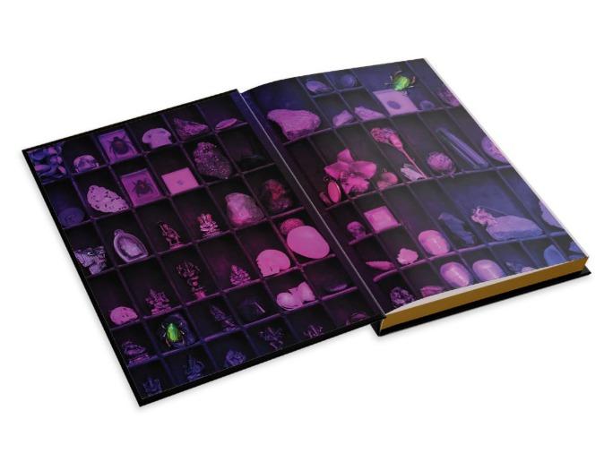 The Lost Apothecary Collector's Edition: A Novel by Sarah Penner [Hardback Book]