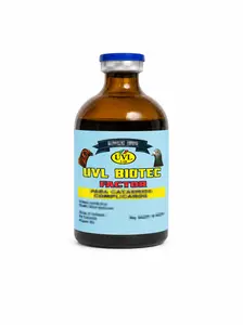 BioTec Factor Support 100ml
