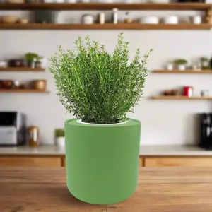 Thyme Hydroponic Kit