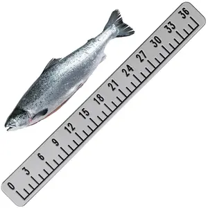 Foam Fish Ruler Fish Size Measuring Tape Measuring Board Tool Adhesive Accessory for Boats Sailboats Yachts Kayaks (36 Inch)