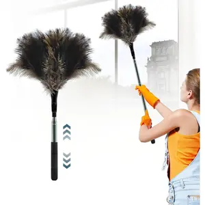 Extendable  Duster -  inches  Long Handle   Duster for Cleaning Ceiling Fan,Pendant lamp, High Ceiling, Blinds, Furniture,Ostrich  Duster