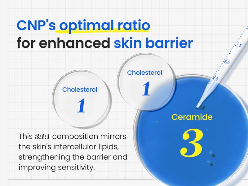 Barrier Ceramide Daily Moisturizer - Skin Reset Cream for Deep Hydration, Strengthen Skin Barrier, Fast-absorbing Face Cream for Sensitive, Dry & Blemish-prone Skin, Ideal Gifts for Women, Korean Skincare (2.7 fl. oz)