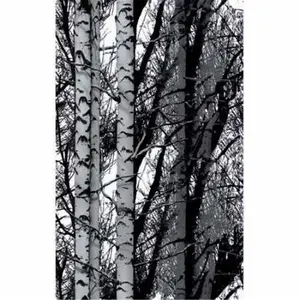 212 MAIN Dc-fix 346-0611 Solvent-Free Decorative Self-Adhesive Film, 17x78 in Birch Woods, Custom Wallpaper for Baby Furniture Decoration