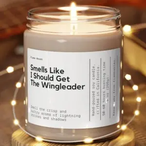 Smells Like I Should Get The Wingleader Candle, Fourth Wing Gift, Gift For Girlfriend, Tairn And Xaden Gift, Book Inspired, Iron Flame Merch