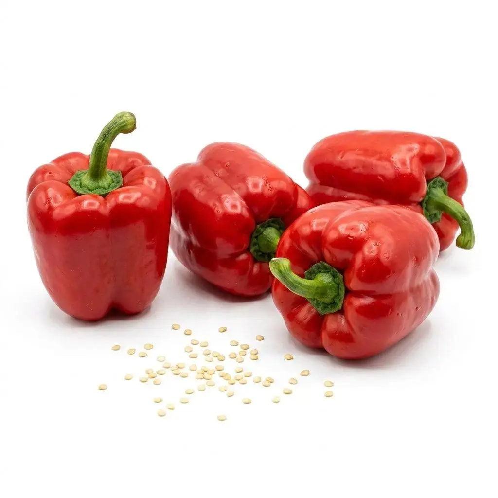 50 Red Bell Pepper Seeds for Planting - Extremely Sweet & Colorful Vegetable Seeds for Home Garden - Grow Massive Sweet Red Peppers