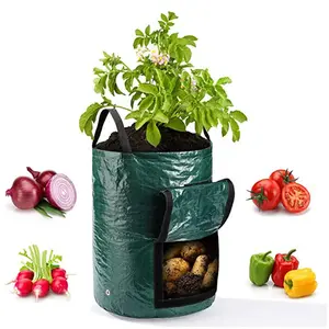1 Durable Garden Planting Bag, Potato Grow Bag with Reinforced Handles - Perfect for Potatoes, Tomatoes, and Other Vegetables and Fruits - Breathable Fabric with Drainage Holes, Outdoor Gardening | Multi-Purpose Gardening | Sturdy Structure