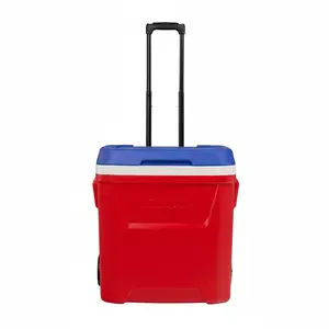 Igloo 16Qt Laguna Roller Cooler - Watermelon - Pack of 2