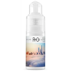 SKYLINE Dry Shampoo Powder