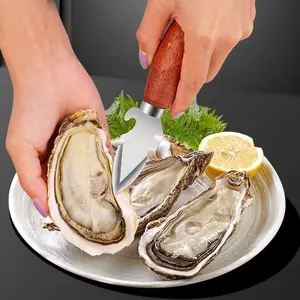 Stainless Steel Oyster Knife Shell Opener, Multifunctional Oyster Tool for Outdoor Barbecue, Essential BBQ Accessory