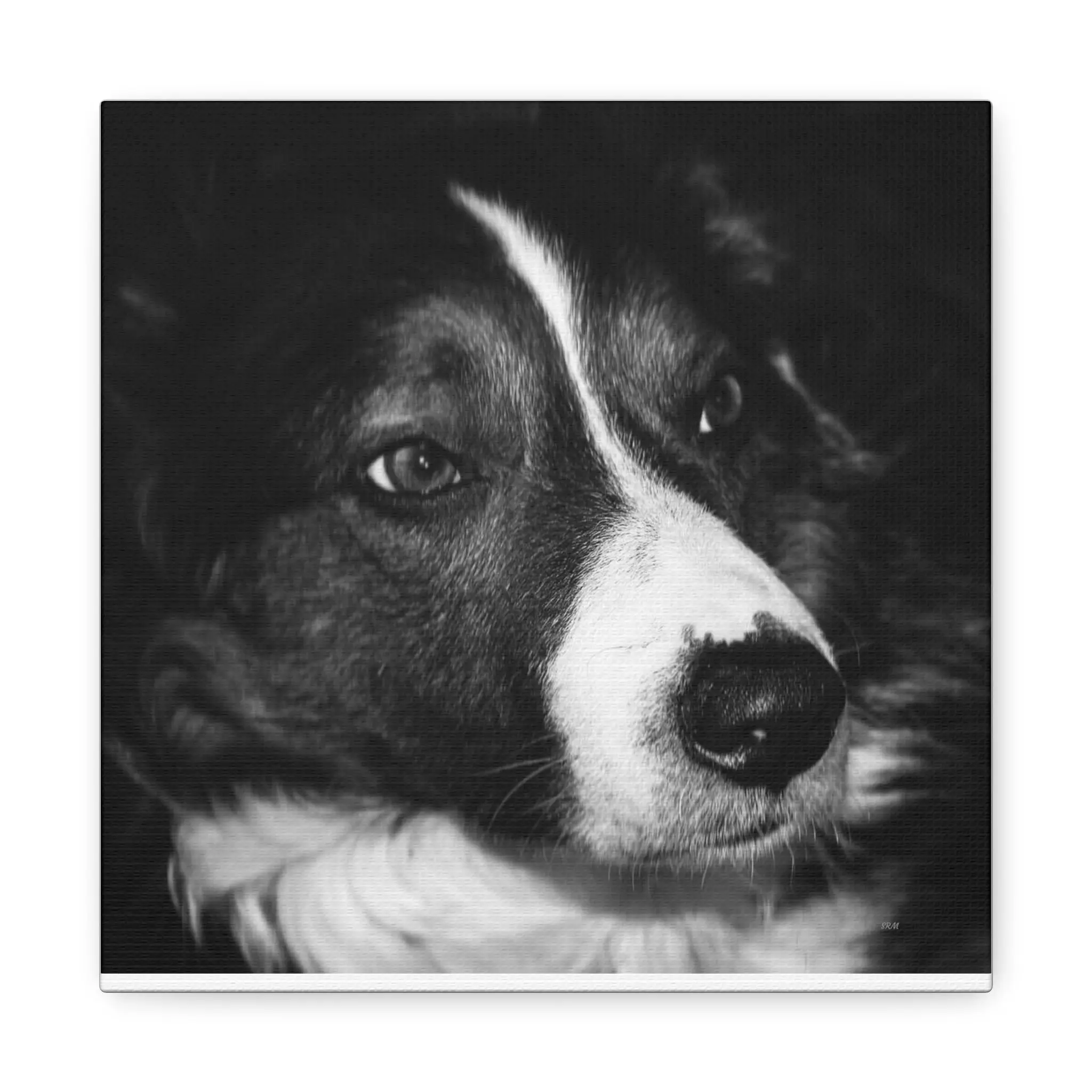 Custom Dog Portrait Canvas Print, Pet Wall Art, Dog Lover Gift, Home Decor, Unique Pet Memorial, Black and White Art
