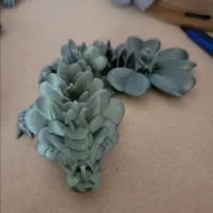 Beautiful Baby Clover Dragon
