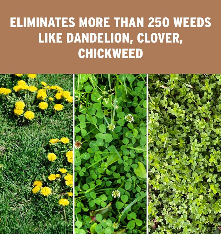 The Andersons  Surge Professional-Grade Weed & Feed 16-0-9