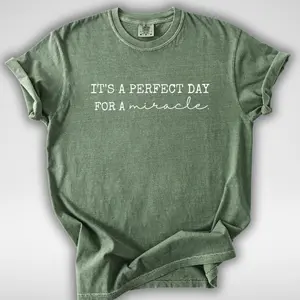 IVF Miracle Comfort Colors? Shirt, Transfer Day It's A Perfect Day for A Miracle Shirt for Couples, Mom and Dad Gift